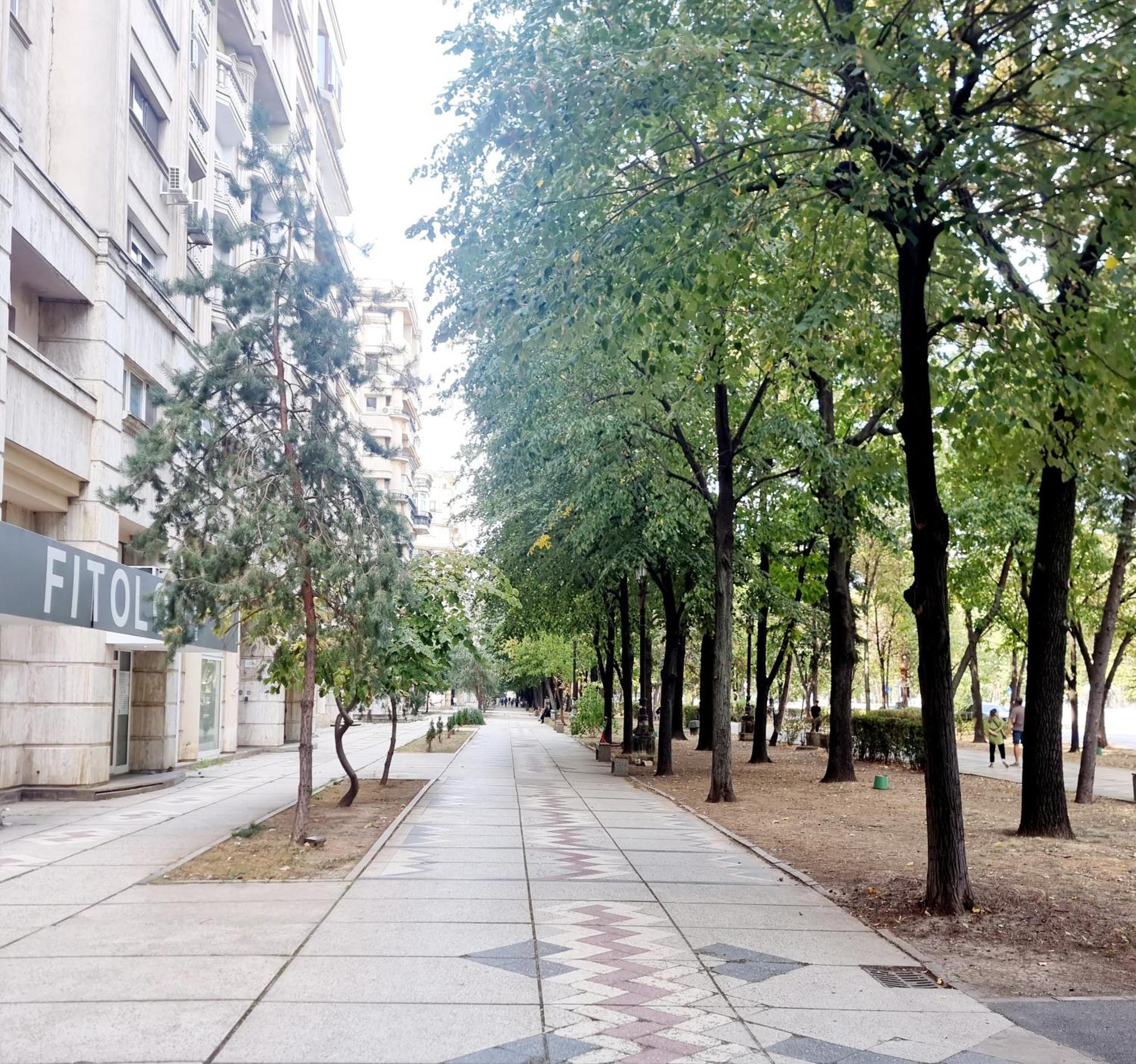 Tranquil Unirii Residence - Elegant & Spacious Living With Parking Steps From Parliament 布加勒斯特 外观 照片