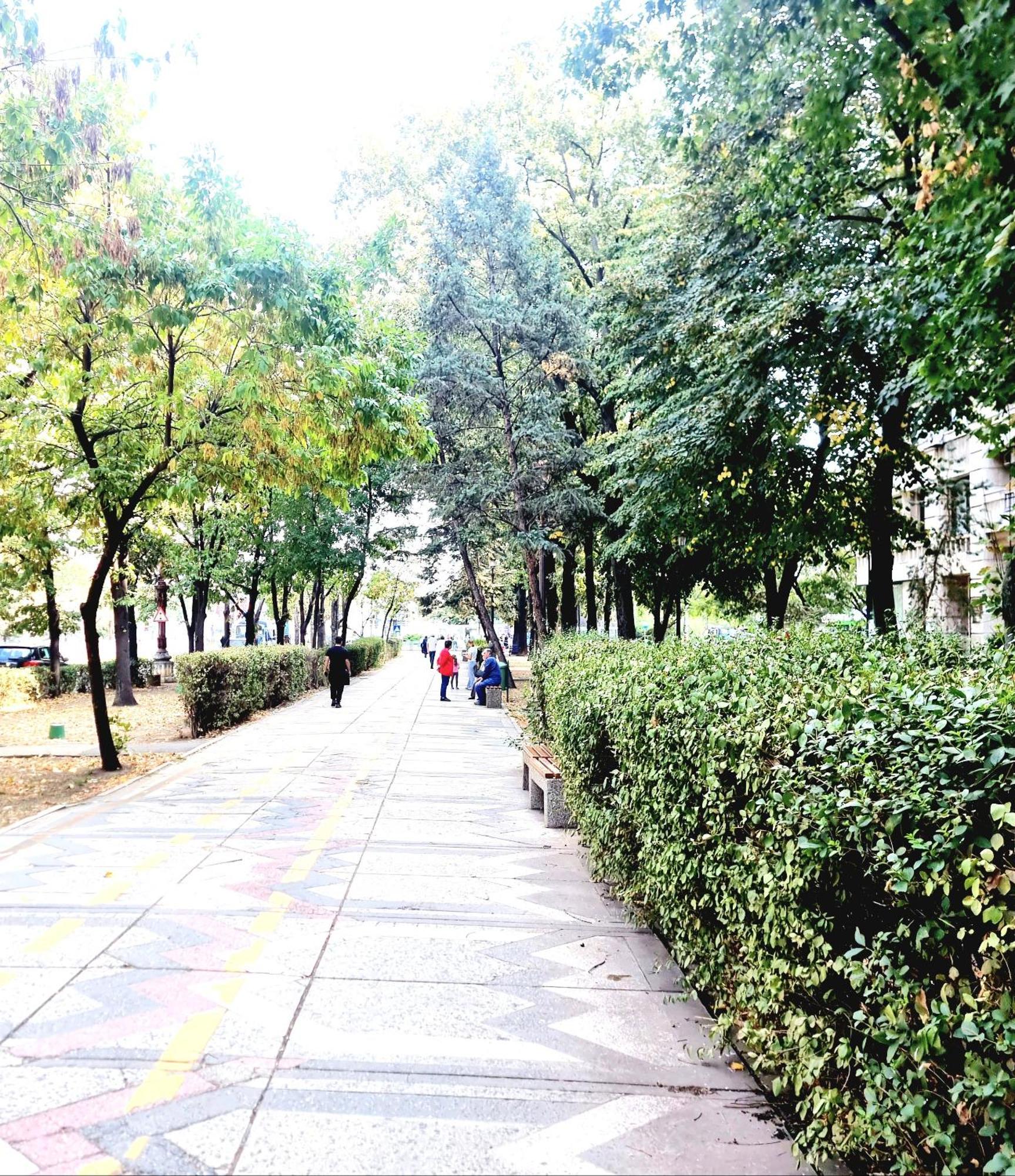 Tranquil Unirii Residence - Elegant & Spacious Living With Parking Steps From Parliament 布加勒斯特 外观 照片